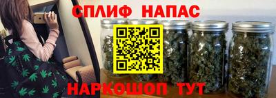 бошки Будённовск