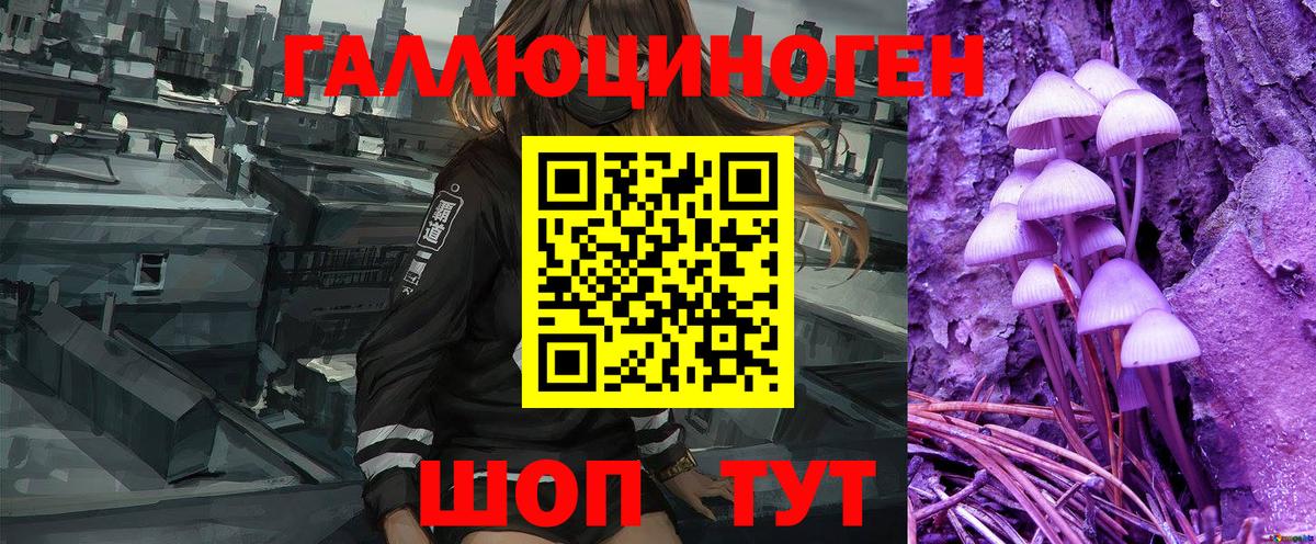 Троицк  Псилоцибиновые грибы Psilocybe  Вход с VPN  Галлюциногенные грибы Psilocybe 