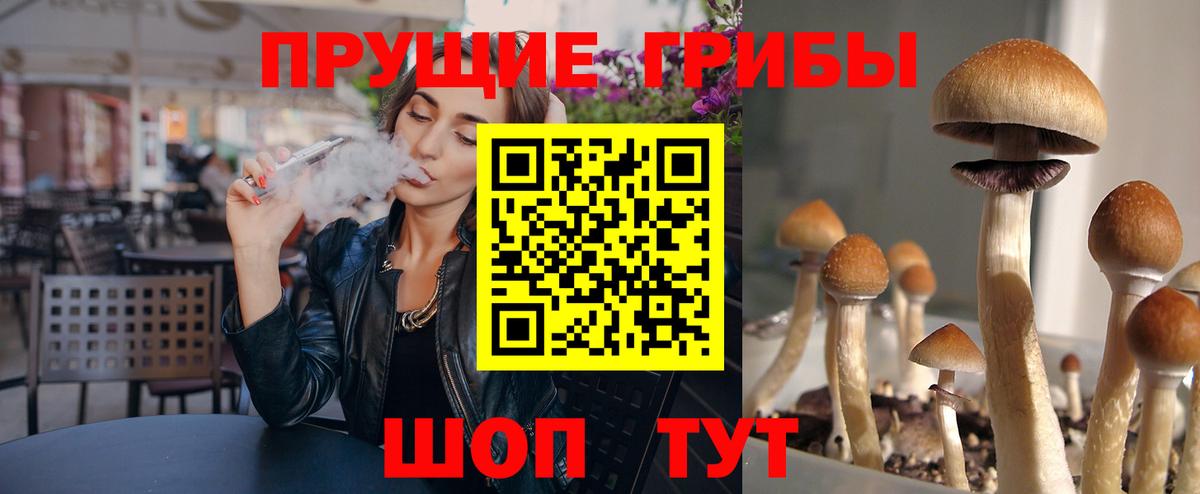 Псилоцибиновые грибы мухоморы Троицк